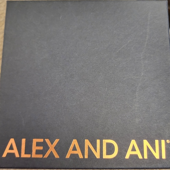 Alex and Ani Silver Bracelet - San Antonio - Picture 2 of 3